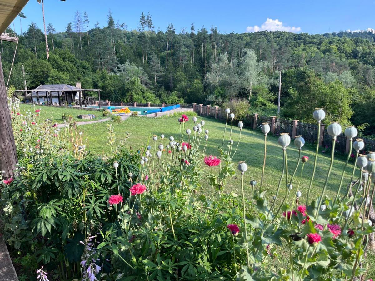 Agriturismo Hidden Paradise Vila Tryavna Exterior foto