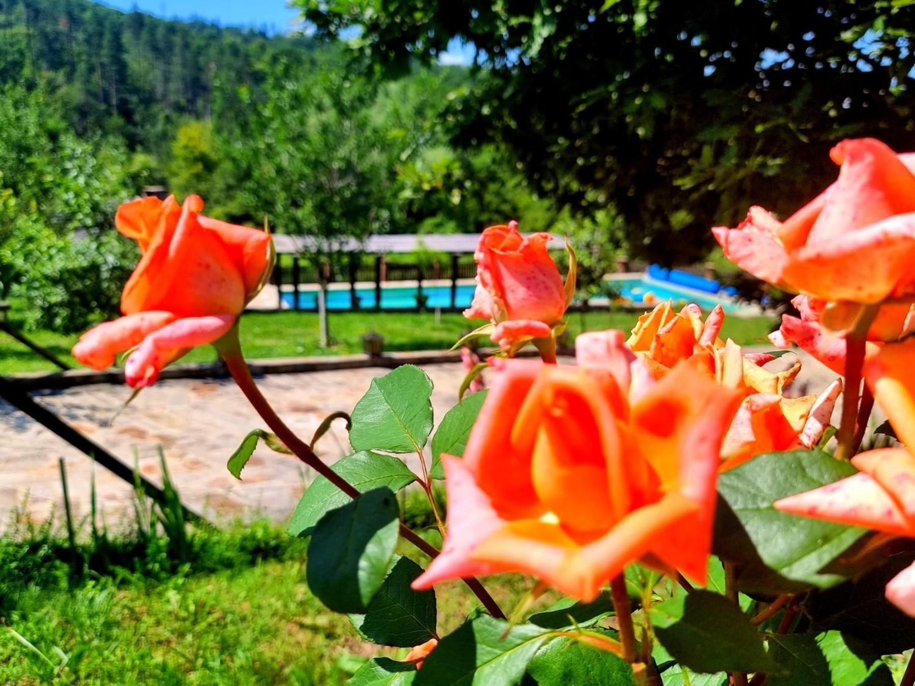 Agriturismo Hidden Paradise Vila Tryavna Exterior foto