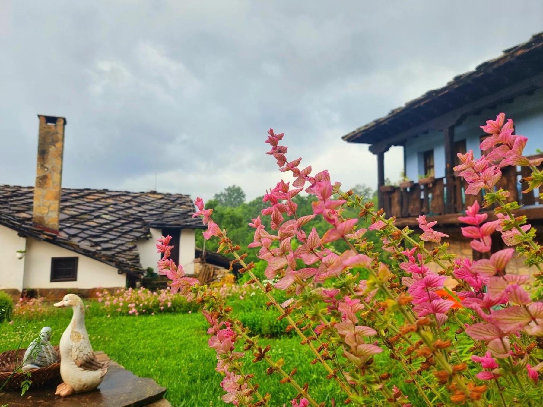 Agriturismo Hidden Paradise Vila Tryavna Exterior foto