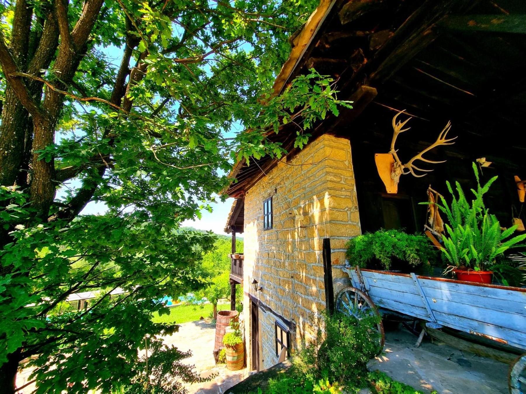 Agriturismo Hidden Paradise Vila Tryavna Exterior foto