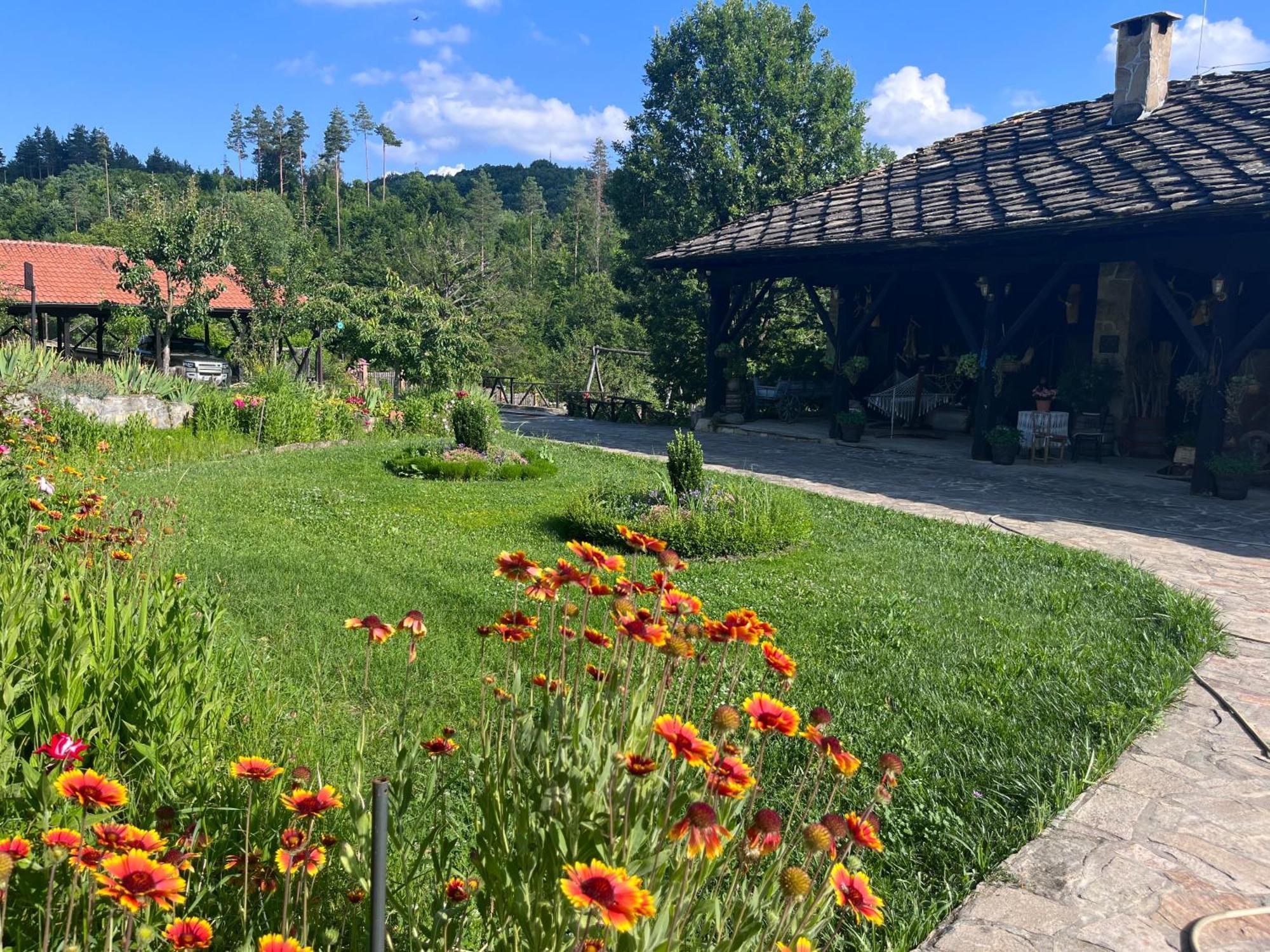 Agriturismo Hidden Paradise Vila Tryavna Exterior foto